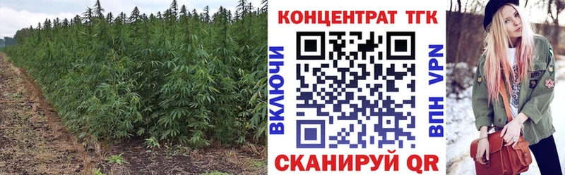 ТГК гашишное масло  хочу наркоту  Верхотурье 